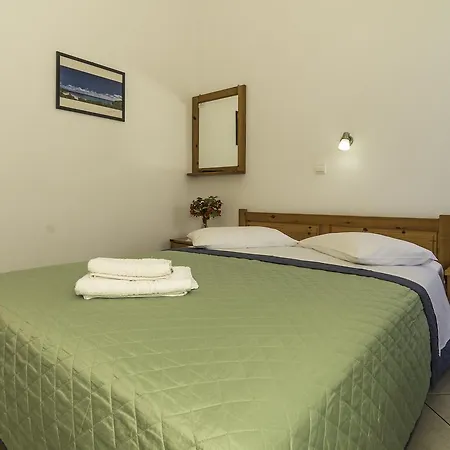 Oriental Bay Apartment
